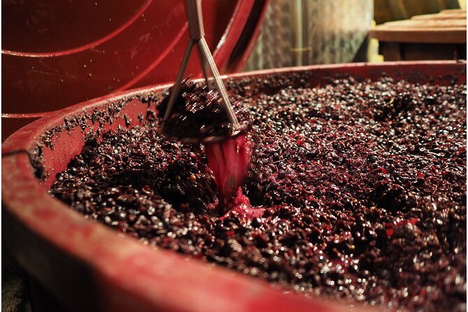 Etyek Private Half-Day Wine Tasting Tour From Budapest - Wine Tasting Experience
