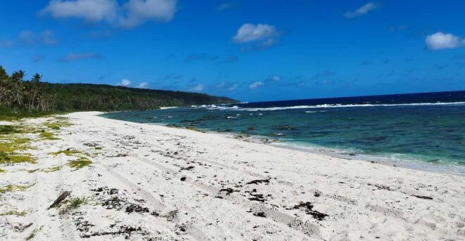 Eua Southside Adventure Day Tour With Light Lunch - Inclusions