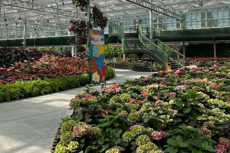 Eufloria Gardens and Sculpture Park in Genting Highlands - Why families may find it an easy outing