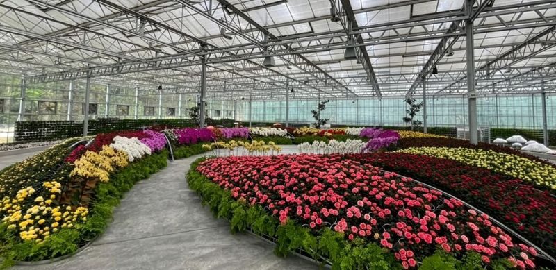 Eufloria Gardens and Sculpture Park in Genting Highlands - Should you book Eufloria?
