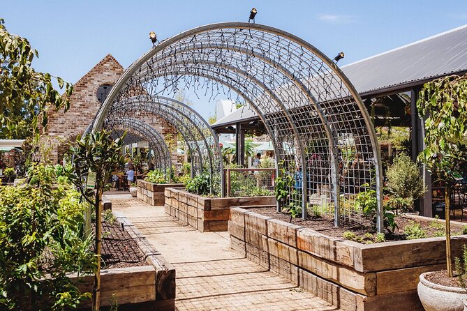 Eumundi Deluxe Private Tour With Eumundi Markets, Lunch and More - Questions and Viator Help Center