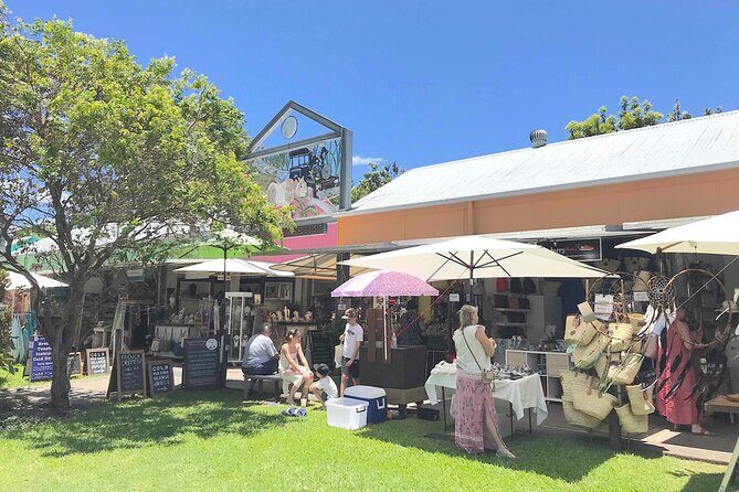 Eumundi Markets and Noosa Everglades Tour with Eco Safari - Who Will Love This Tour?
