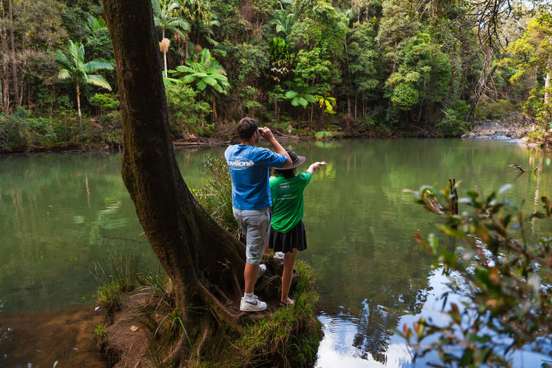 Eungella National Park Half-Day Platypus Encounter Tour from Airlie Beach - Key points to know before you go