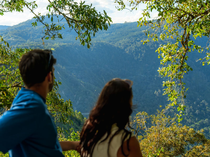 Eungella National Park Half-Day Platypus Encounter Tour from Airlie Beach - Should you book the Eungella platypus tour?