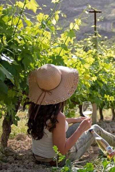 EUPHORIA Wine Tour & Tasting at Douloufakis Vineyards - Booking Information