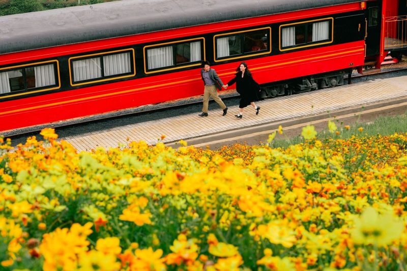 European Garden Da Lat Ticket - Cau Dat tea brings a local thread