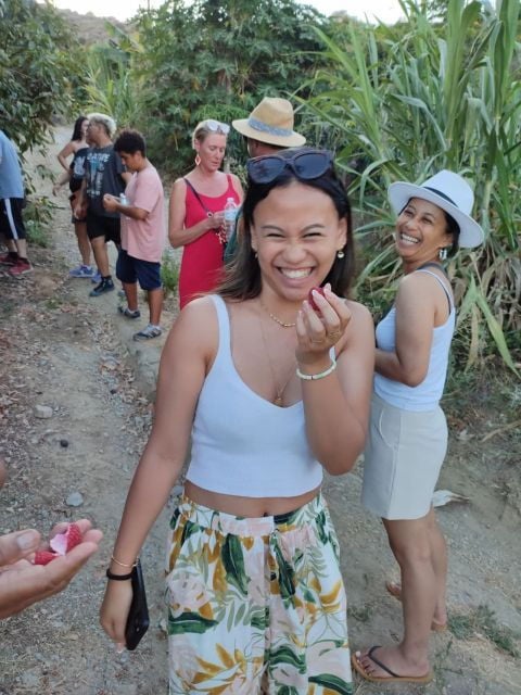Europe's Only Coffee Farm: Walking Tour in Our Plantation - Experience Overview