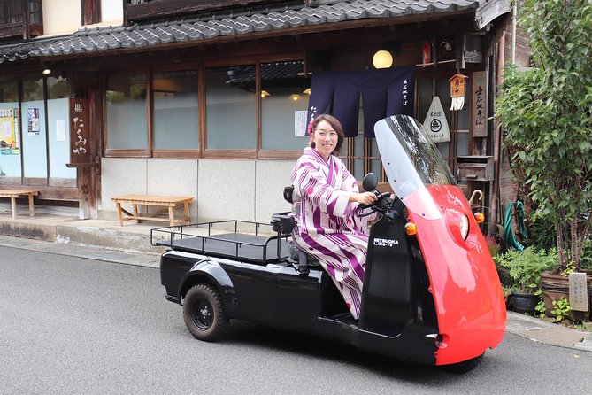 EV Car Rental Basket Group Local Tour & Guide - Cancellation Policy