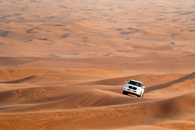 Evening 4x4 Dune Bashing - What Is Evening 4x4 Dune Bashing?