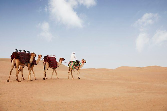 Evening Abu Dhabi Desert Safari & BBQ Dinner- Standard Tour - Traveler Tips for the Evening Desert Safari