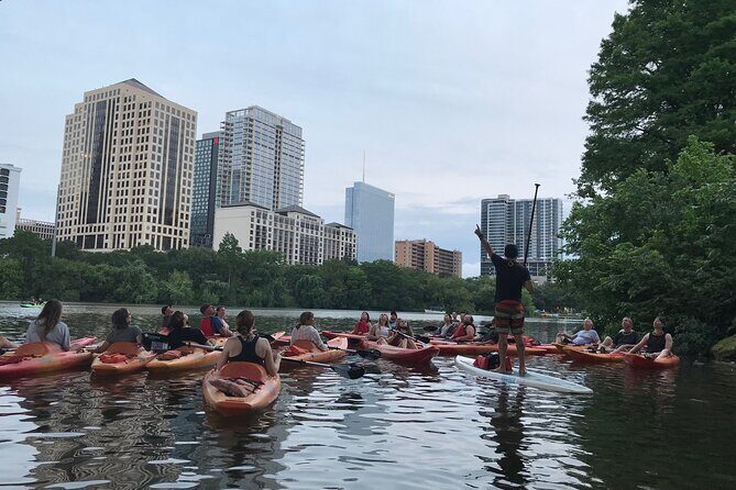 Evening Bat Watching Kayak Tour - Who Will Love This Tour?