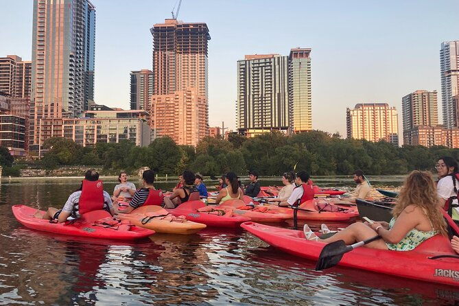 Evening Bat Watching Kayak Tour - Good To Know