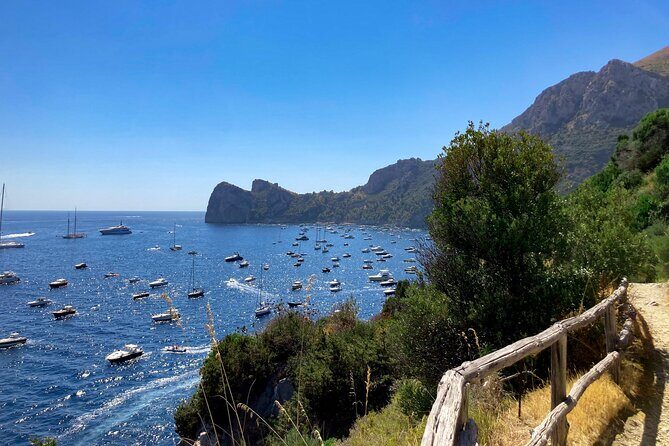 Evening Boat Tour with Dinner Experience - FAQs