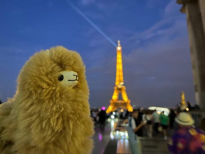 Evening City Tour Around Paris - Languages and Accessibility