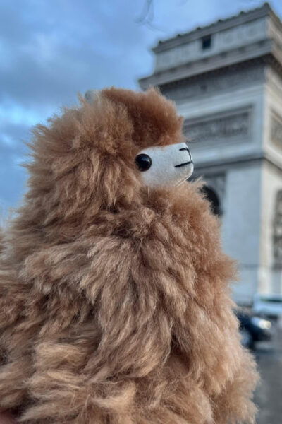 Evening City Tour Around Paris - Tips for a Memorable Experience