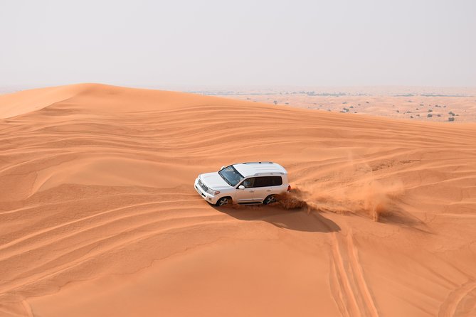 Evening Desert Safari & Abu Dhabi City Tour - Desert Safari Experience