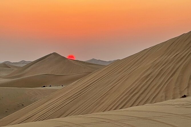 Evening Desert Safari Abu Dhabi With BBQ Dinner & Shows - Scenic Beauty of Abu Dhabi Desert