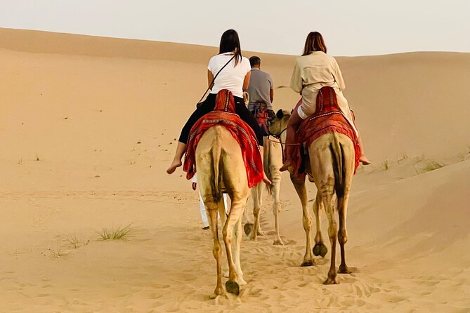 Evening Desert Safari Abu Dhabi With BBQ Dinner & Shows - Booking and Reservation Details