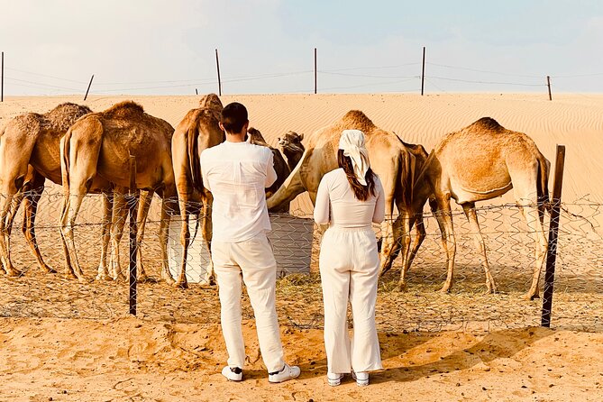 Evening Desert Safari Abu Dhabi With BBQ Dinner & Shows - Common Questions