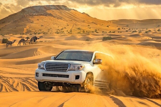 Evening Desert Safari Adventure in Dubai - Reviews