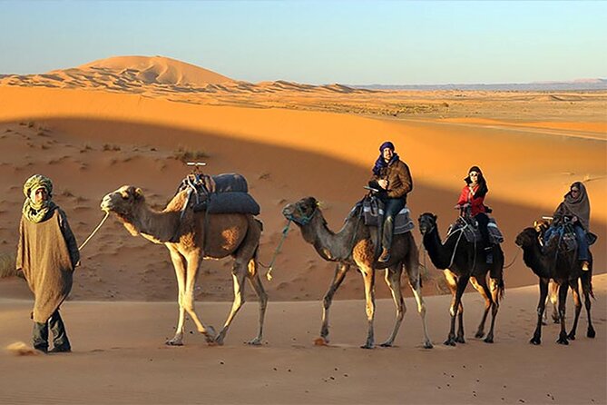 Evening Desert Safari Dubai - Important Information and Cancellation Policy