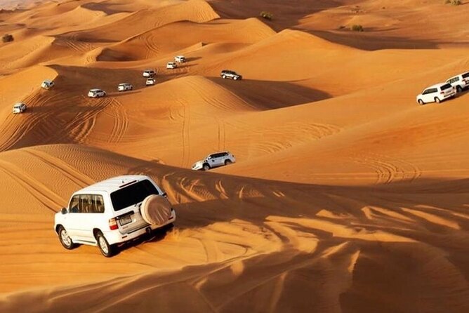 Evening Desert Safari in Dubai - Logistics and Pickup