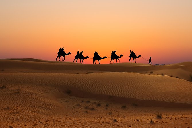 Evening Desert Safari in Dubai, Sandboard & BBQ Dinner - The Sum Up