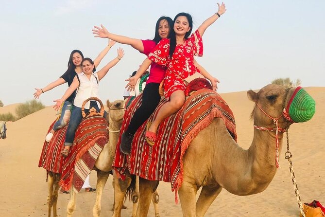 Evening Desert Safari in Dubai With Dune Bashing and Live Shows - Traveler Photos