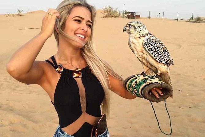 Evening Desert Safari Private Land Cruiser ( 6 to 7 Pax ) - Pricing and Booking Information