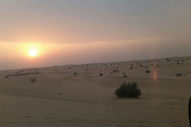 Evening Desert Safari Tour With Live Enterterment And BBQ Dinner - Tour Inclusions