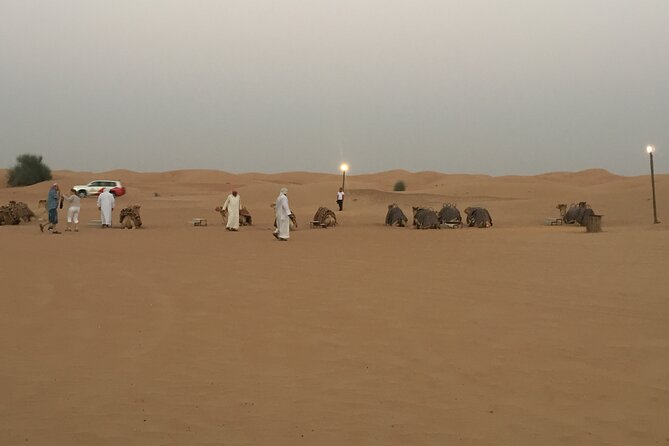 Evening Desert Safari Tour With Live Enterterment And BBQ Dinner - The Sum Up