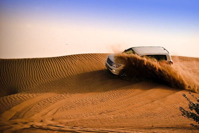 Evening Desert Safari Tour With Sand Surfing, BBQ Dinner (Exclusive Car) - Professional Safari Guides