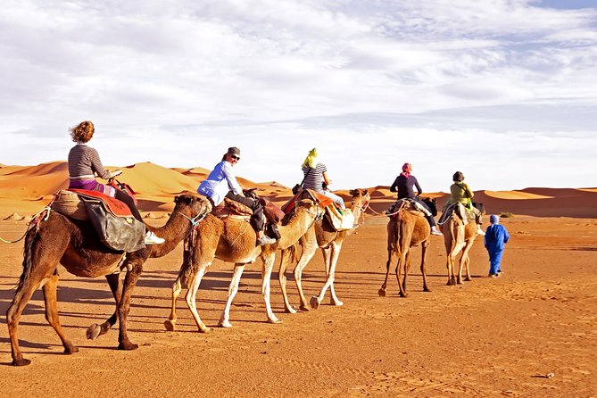 Evening Desert Safari With BBQ, Camel Ride and Sand Boarding- Abu Dhabi - Overview of Evening Desert Safari