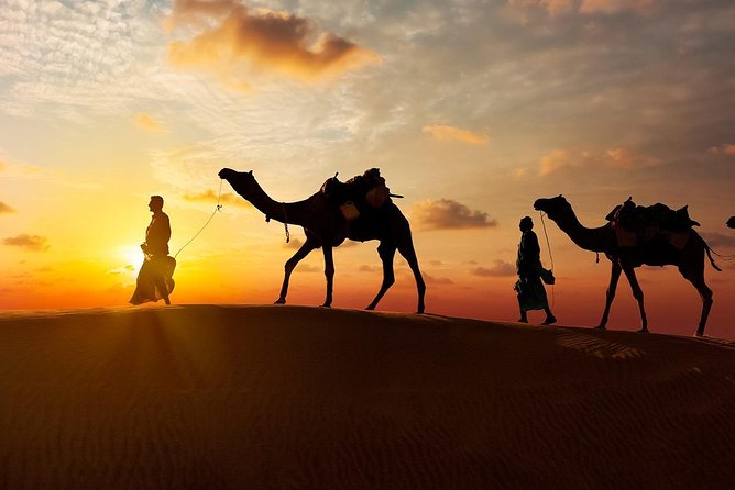 Evening Desert Safari With BBQ Dinner - Important Reminders