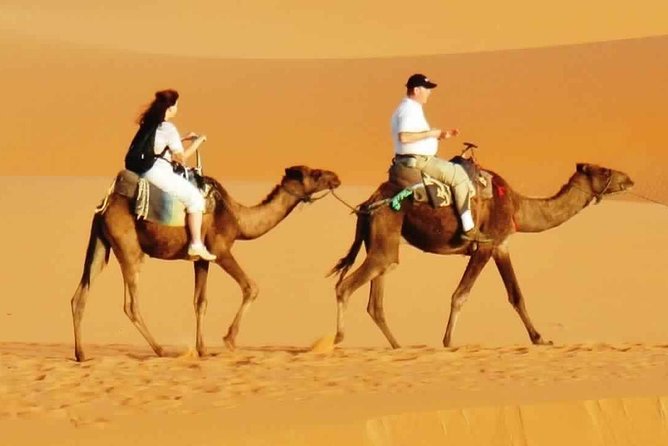 Evening Desert Safari With BBQ Dinner & 7 Live Shows - Lack of Explanations From the Chauffeur