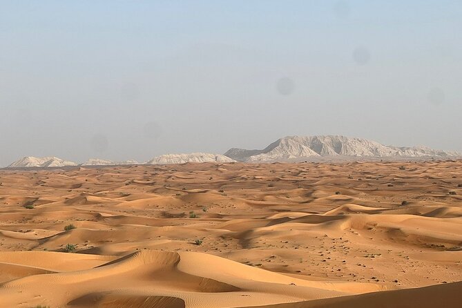 Evening Desert Safari With BBQ Dinner Quad Bike Open Desert - Quad Bike Adventure