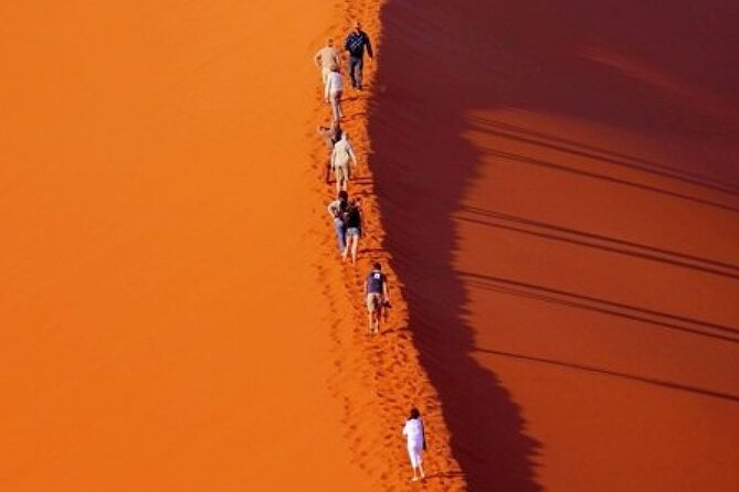 Evening Desert Safari With Belly Dance and BBQ Dinner and Camel Ride - Directions