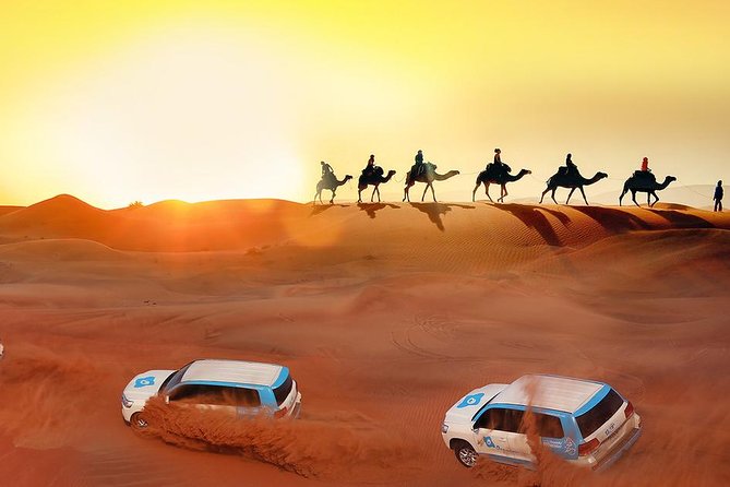 Evening Desert Safari With Camel Ride, BBQ Dinner and Dune Bashing - Tour Highlights