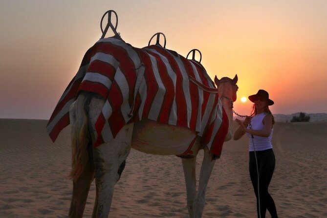 Evening Desert Safari With Camel Ride & BBQ Dinner - Price and Booking Details