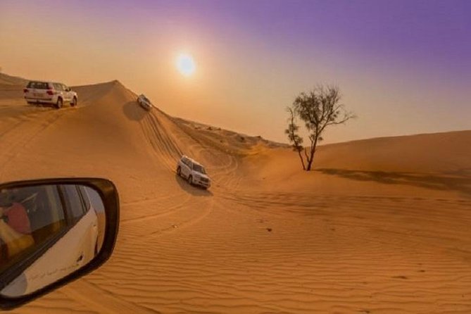 Evening Desert Safari With Dune Bashing, Camel Ride, Dinner - Dubai - Cancellation Policy