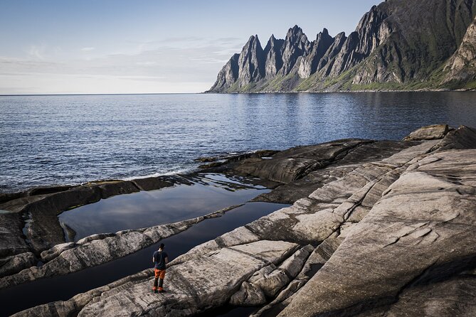 Evening Fjords Tour in Kvaløya - Frequently Asked Questions