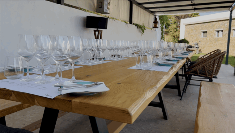 Evening of Wine and Scenic Views in Skiathos - Analyzing the Value