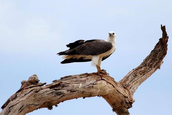Evening Private Tour Safari at Yala National Park - The Sum Up