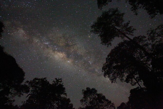 Evening Rainforest & Glow Worm Experience - Small Group Tour - Common Questions