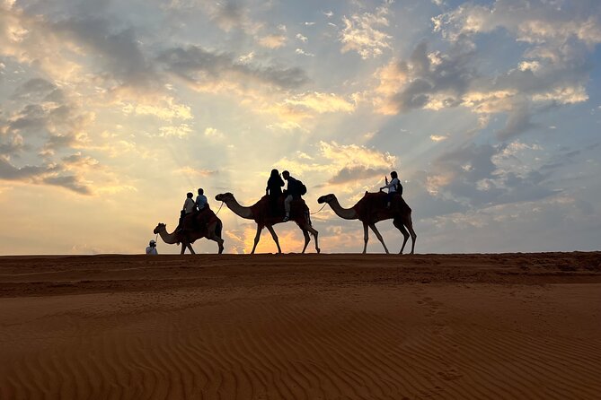 Evening Red Dunes Desert Safari Tour With BBQ Dinner - Pricing and Booking Details