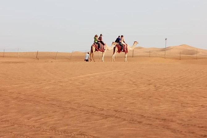 Evening Safari With Quad Bike, Camel Riding, BBQ Dinner and Dune Bashing - Live Entertainment and Cultural Shows
