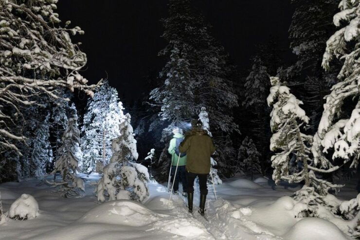 Evening Ski Trek to the Wilderness - Experience Highlights