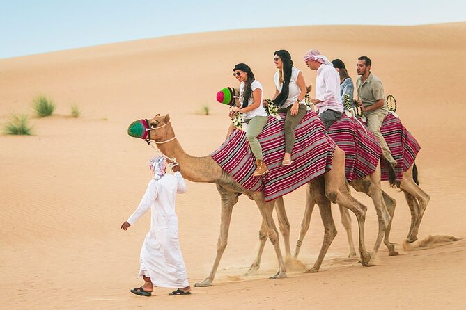 Evening Tour in Desert Safari - Sunset Photography