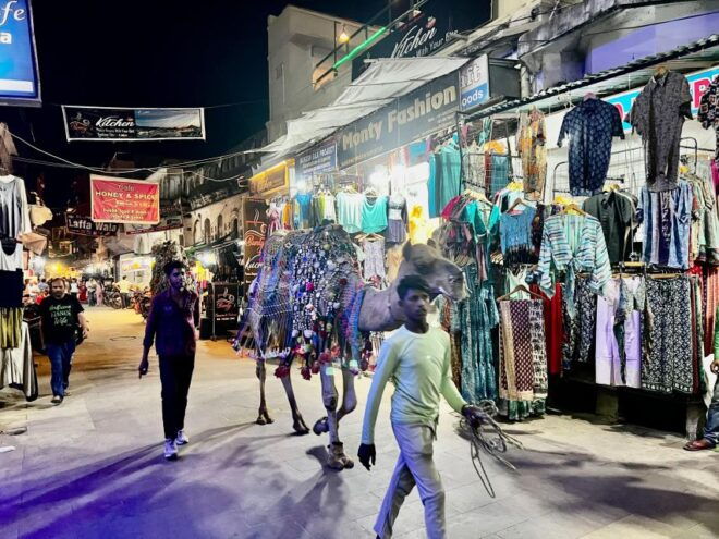 Evening Walking Tour With Fire Rituals-The Pushkar Route - Customer Reviews and Testimonials