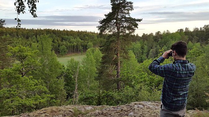 Evening Wildlife Safari Stockholm - Why the Evening Wildlife Safari Stands Out